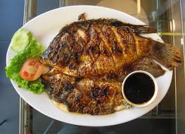 Image result for ikan