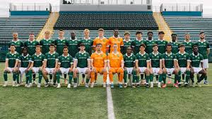 Image result for Milford Green Football Club