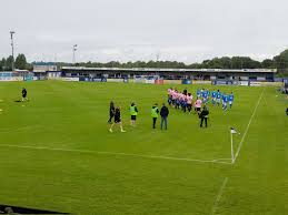 Image result for Newdigate F C