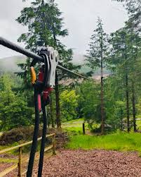 Image result for Go Ape! Whinlatter