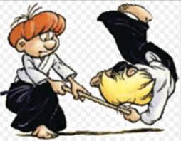 Image result for Aikido - Shobu UK (Newton in furness)