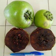 Image result for sharon fruit