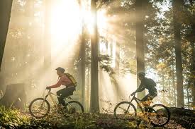 Image result for Rockingham Forest Wheelers Cycling Club