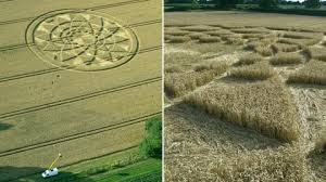 Image result for crop circle