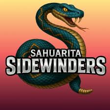Image result for Sidewinders Baseball Club