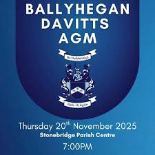 Image result for Ballyhegan Davitts Gaa Club