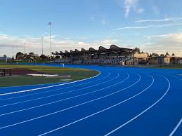 Image result for Chester-Le-Street & District Athletics Club