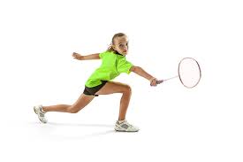 Image result for Dragons Junior Badminton Club