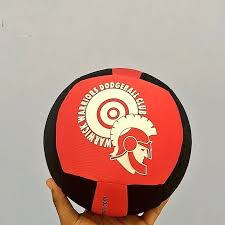 Image result for The Dodgeball Company