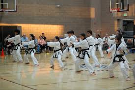 Image result for moray coast tang soo do