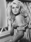 PlanetBarberella's Bipolar express: In praise of all things Ann-
