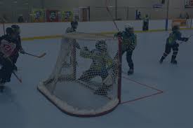 Image result for Walsall Roller Hockey Club