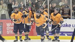 Image result for Romford Junior Ice Hockey Club