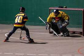 Image result for Dundee Ducks inline roller hockey club