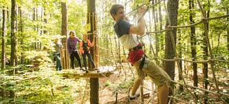 Image result for Go Ape! Moors Valley