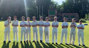 Image result for Carmarthen Wanderers Cricket Club