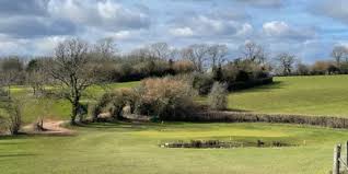 Image result for Coed-Y-Mwstwr Golf Club (1988) Ltd