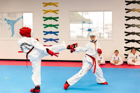 Image result for I T F Taekwondo (Andover)