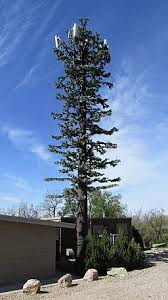 Image result for cell phone tower