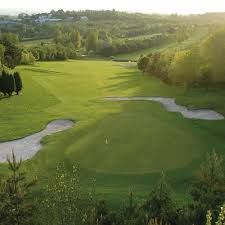 Image result for Newton Abbot Somersaults Gc