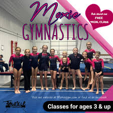 Image result for Mo-Gylity Gymnastics Club