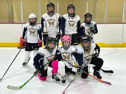 Image result for Havering Skater Hockey Club