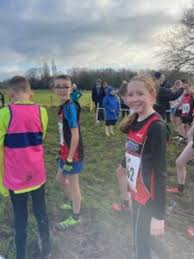 Image result for Billingham Marsh House Harriers