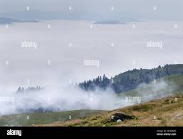 Image result for Seren Dwr