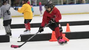 Image result for Piranhas Inline Hockey Club