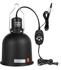 Risultati immagini per arcadia basking solar flood