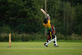 Image result for Louth Cricket Club