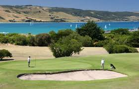 Image result for Apollo Gc