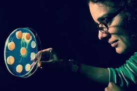 Attēlu rezultāti vaicājumam “Physarum obscurum young”