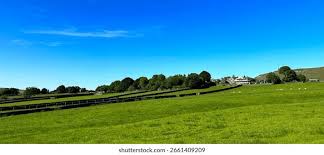 Image result for Calder Valley Arlfc