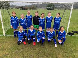 Image result for Frys Badminton Club