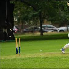 Image result for London Fields Cricket Club