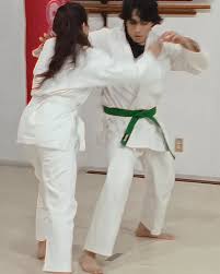 Image result for Kyomeikai Karate Club