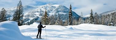 Image result for Manchester Cross Country Ski Club