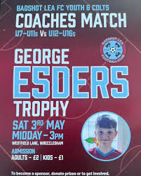 Image result for Wrecclesham Football Club