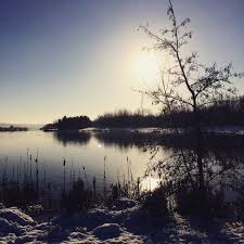 Image result for Rother Valley