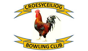 Image result for Torfaen Indoor Bowls Club