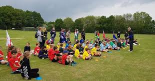 Image result for Redlynch and Hale Cricket Club