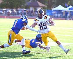 Image result for Midland Vikings