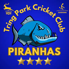 Image result for Tring Park Cricket Club