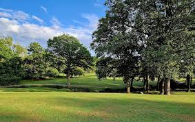 Image result for Chobham Golf Club