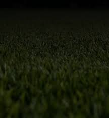 Image result for fsi tehron