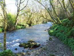 Image result for Fishguard & Goodwick Bowls Club