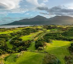 Image result for The Combe Martin Institute Club