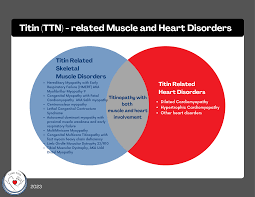 Attēlu rezultāti vaicājumam “Tetanops myopina”