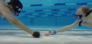 Image result for Caversham Underwater Hockey Club